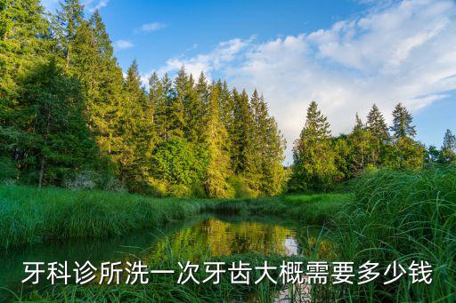 泰安市口腔醫(yī)院洗牙多少錢(qián),洗牙一般需要多少錢(qián)
