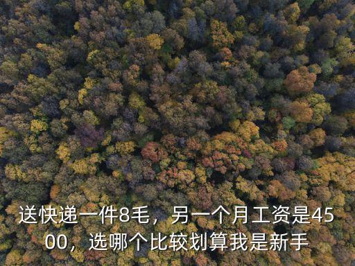 新手送快遞一個月多少南京,送外賣一個月能賺多少