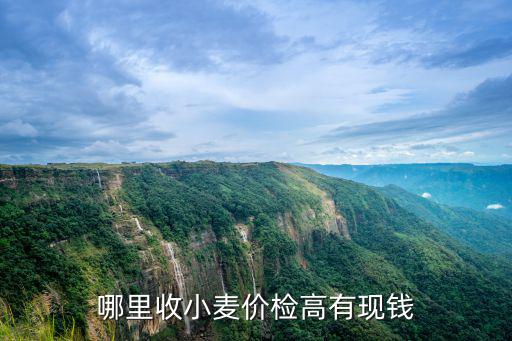 哪里收小麥價檢高有現錢