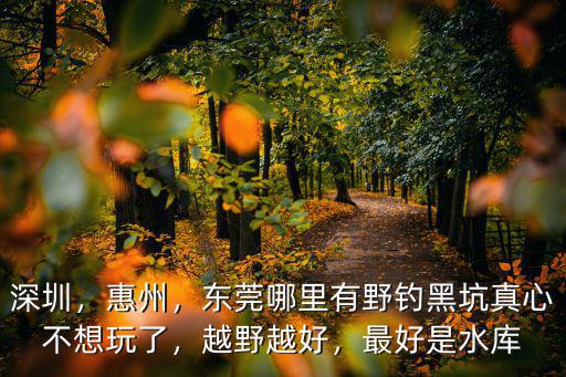 深圳，惠州，東莞哪里有野釣黑坑真心不想玩了，越野越好，最好是水庫