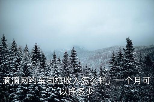 滴滴網(wǎng)約車司機(jī)收入怎么樣，一個(gè)月可以掙多少