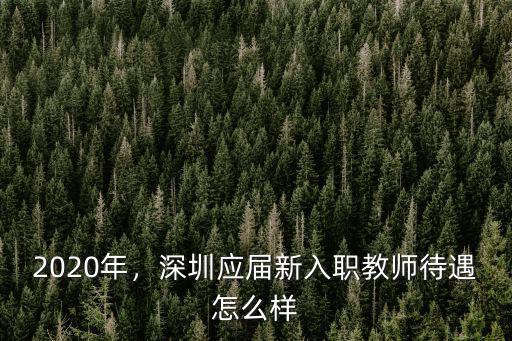 2020年，深圳應(yīng)屆新入職教師待遇怎么樣