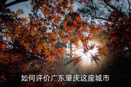 肇慶安第斯怎么樣,肇慶鼎湖區(qū)經(jīng)濟發(fā)展的怎么樣