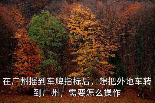 廣州車(chē)牌搖號(hào)3個(gè)月后怎么廷,在廣州搖到車(chē)牌指標(biāo)后