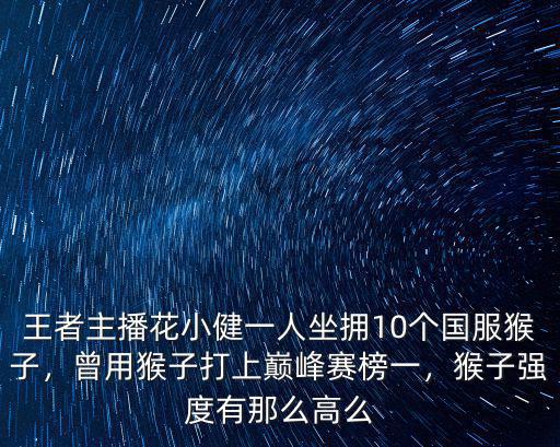 王者主播花小健一人坐擁10個國服猴子，曾用猴子打上巔峰賽榜一，猴子強度有那么高么