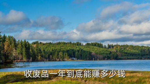 收廢品一年到底能賺多少錢