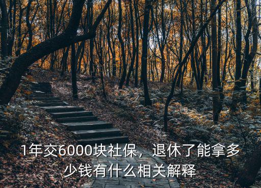 廣州6000社保交多少錢,1年交6000塊社保