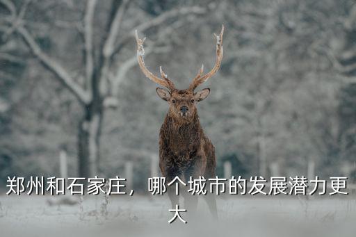 蘇州與石家莊的產(chǎn)值各是多少,鄭州和石家莊