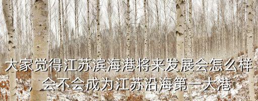 江蘇大豐港今年吞吐量多少,吞吐量多少噸的港口算大港