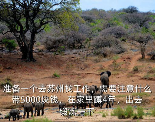 準備一個去蘇州找工作，需要注意什么帶5000塊錢，在家里蹲4年，出去鍛煉一下