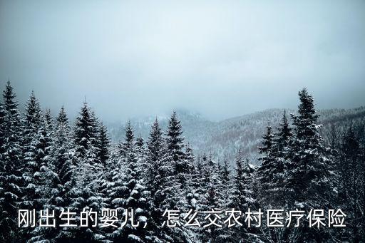 潮州新生嬰兒醫療保險怎么辦,剛出生的嬰兒