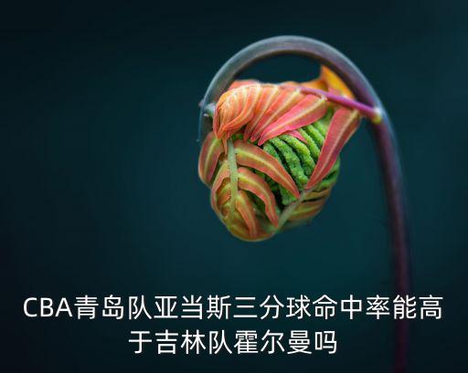 青島隊(duì)亞當(dāng)斯多少歲,北京隊(duì)客場慘敗給青島隊(duì)