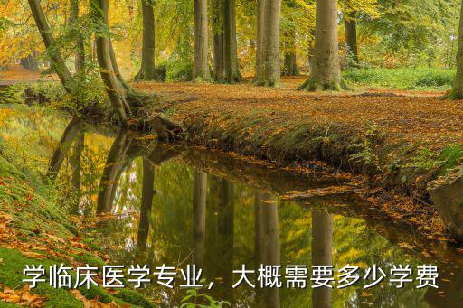 山東省臨床醫(yī)學(xué)專業(yè)學(xué)費多少,臨床醫(yī)學(xué)再成熱門專業(yè)