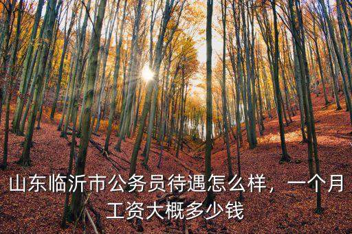 山東公務(wù)員一般年薪多少,山東聊城市公務(wù)員待遇怎么樣
