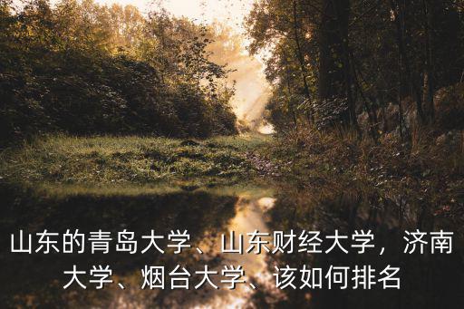 山東的青島大學(xué)、山東財經(jīng)大學(xué)，濟南大學(xué)、煙臺大學(xué)、該如何排名