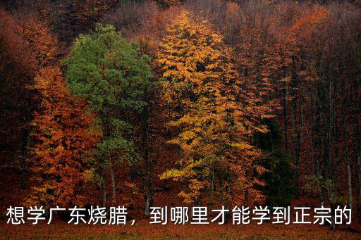 到哪里去學(xué)做廣東燒鵝,到哪里才能學(xué)到正宗的