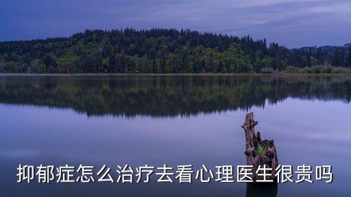 抑郁癥怎么治療去看心理醫(yī)生很貴嗎