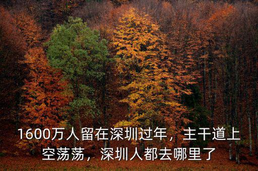 1600萬人留在深圳過年，主干道上空蕩蕩，深圳人都去哪里了
