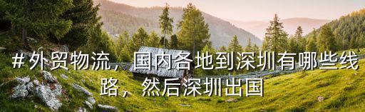 深圳外貿(mào)訂單怎么走海運,怎么樣才能接到外貿(mào)的訂單