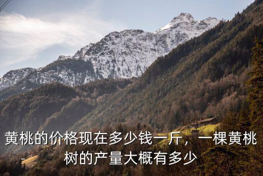 徐州黃桃多少錢一斤,五毛一斤沒人要