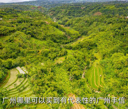 神銀十八哥在廣州哪里,廣州的富人區在哪里