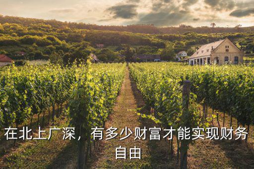 在深圳有多少錢算財務自由,有多少財富才能實現財務自由