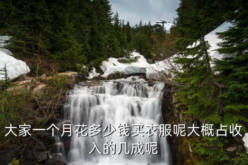 大家一個月花多少錢買衣服呢大概占收入的幾成呢