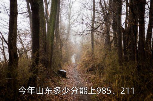 北交大錄取分數線是多少山東考生,今年山東多少分能上985