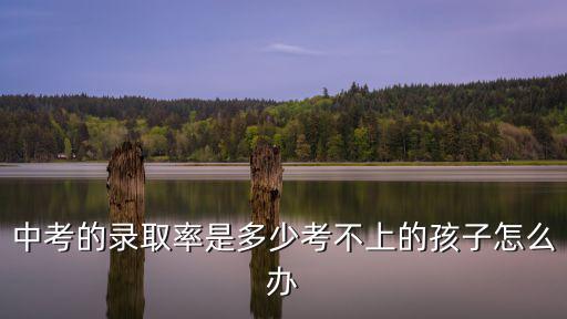 陽江市中考的考生有多少人,考不上的孩子怎么辦