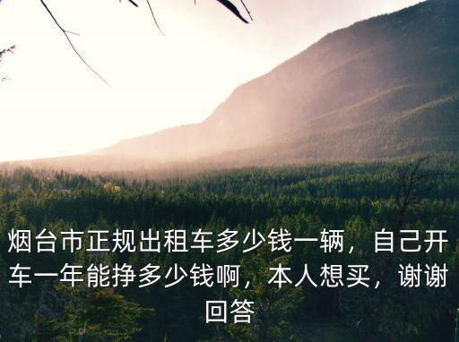 煙臺出租車一月多少錢,出租車連證帶車大約多少錢