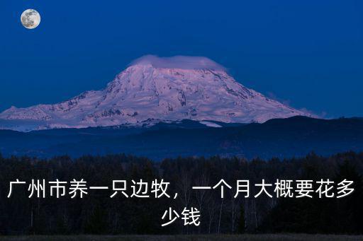 廣州狗獾多少錢一只,一個月大概要花多少錢
