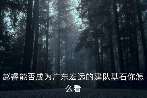 廣東宏遠隊趙睿怎么樣,廣東宏遠隊趙睿防守動作大嗎