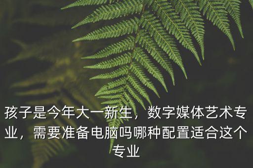 孩子是今年大一新生，數(shù)字媒體藝術(shù)專業(yè)，需要準備電腦嗎哪種配置適合這個專業(yè)