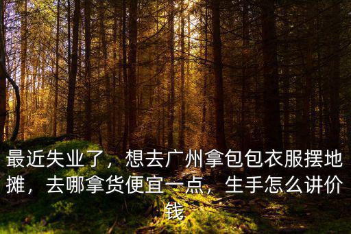 最近失業(yè)了，想去廣州拿包包衣服擺地?cái)偅ツ哪秘洷阋艘稽c(diǎn)，生手怎么講價(jià)錢