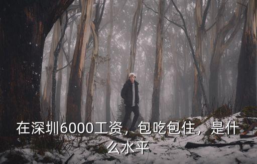 在深圳6000工資，包吃包住，是什么水平