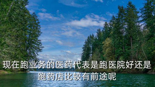 現在跑業務的醫藥代表是跑醫院好還是跑藥店比較有前途呢