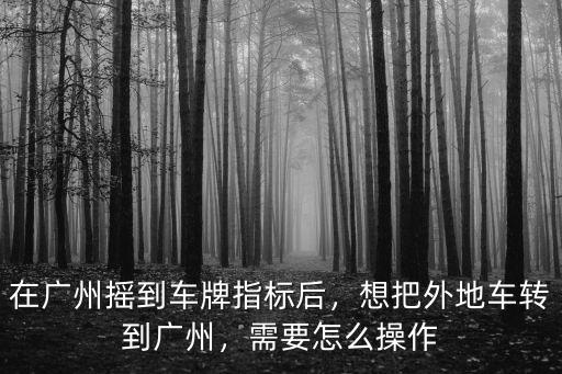 搖號廣州怎么申請,如何參加廣州搖車牌號