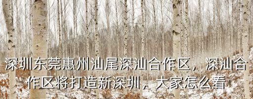 深圳東莞惠州汕尾深汕合作區(qū)，深汕合作區(qū)將打造新深圳，大家怎么看
