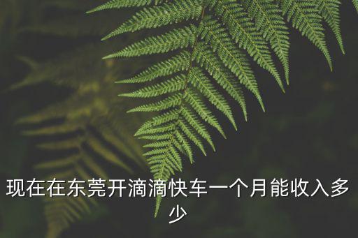 現在在東莞開滴滴快車一個月能收入多少