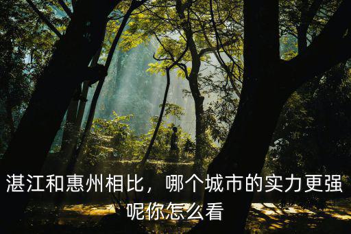 湛江和惠州相比，哪個(gè)城市的實(shí)力更強(qiáng)呢你怎么看
