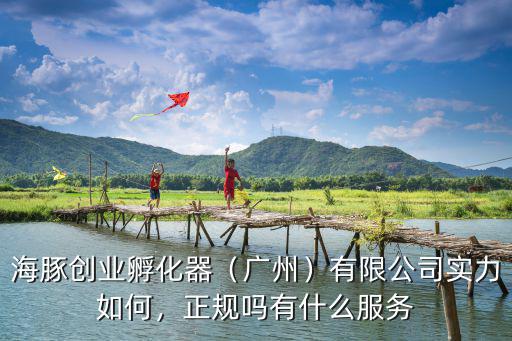 海豚創業孵化器（廣州）有限公司實力如何，正規嗎有什么服務
