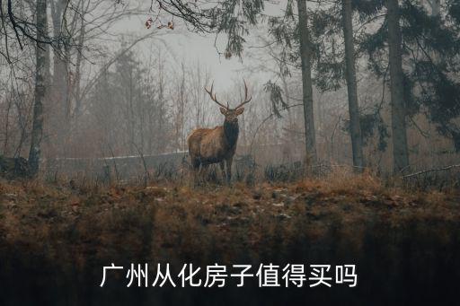 廣州從化房子值得買(mǎi)嗎