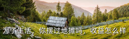 為了生活，你擺過(guò)地?cái)倖幔找嬖趺礃? class=