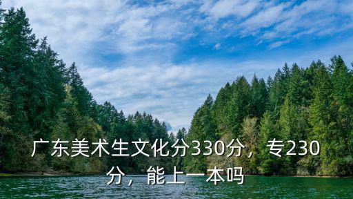 廣東美術生文化分330分，專230分，能上一本嗎