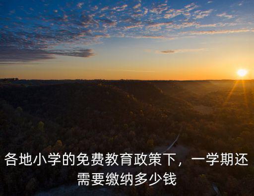 各地小學的免費教育政策下，一學期還需要繳納多少錢
