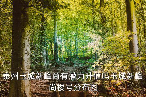 泰州玉城新峰尚現(xiàn)在售出多少,泰州玉城新峰尚有潛力升值嗎