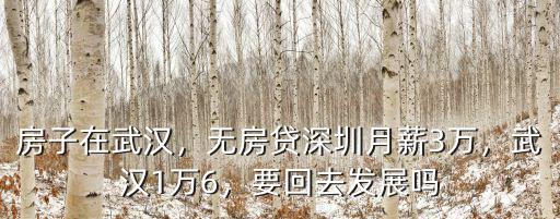 武漢月薪一萬(wàn)相當(dāng)于深圳多少,武漢月薪一萬(wàn)五處于什么水平