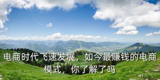 電商時代飛速發展，如今最賺錢的電商模式，你了解了嗎