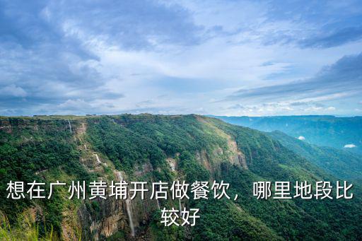 廣州黃埔lg在哪里,想在廣州黃埔開店做餐飲