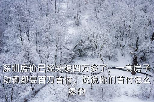 深圳房價已經突破四萬多了，一套房子動輒都要百萬首付，說說你們首付怎么湊的